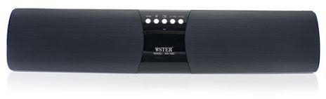 Wster Portable Wireless Speaker, MP3 Player & Radio