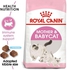 Royal Canin Mother and Babycat Dry Food 400 g