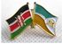 Fashion Kenya - Embu Double Flag Lapel Pin