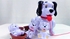 The Spot Dog Toy With 3 Little Dogs