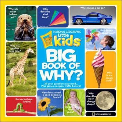 Big Book of Why: All Your Questions Answered Plus Games