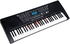 Mike Music 61 Keys Full Size Electronic Piano Keyboard portable Musical Instrument (825 with Stand&amp;Bag)