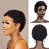 Short Afro Curl Pixie Wigs 100% Human Hair Wig Brazil Remy Human Hair No Lace Wig Boy Hairstyle Kinky Jerry Curly Wig for Men And Women