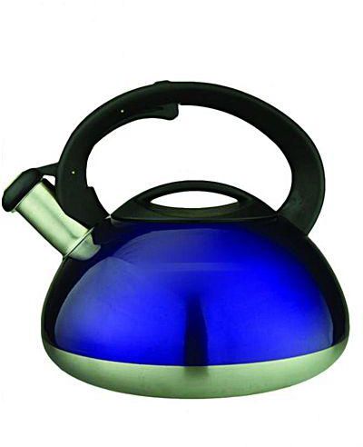 Stainless Steel Whistling Kettle - 3 L - Blue