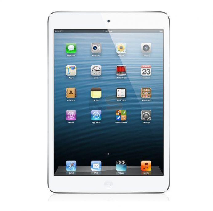 Apple iPad Mini 4 - WiFi (7.9'' Screen, 2GB RAM, 64GB Internal, WiFi) Tablet PC