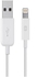 Generic iPhone 5/6 USB charger cable - White