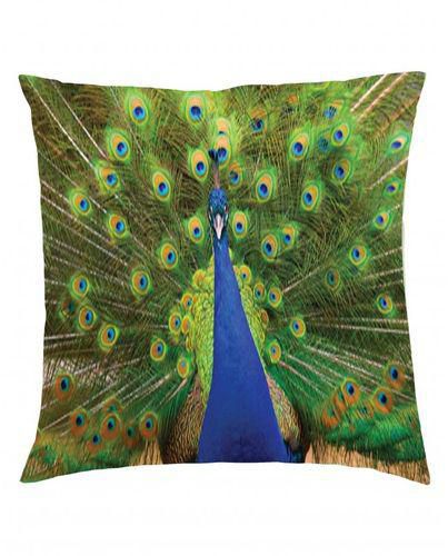 Texveen An-P-0004 Animals Digital Printed Pillow Cover - Multicolor - 40x40 cm