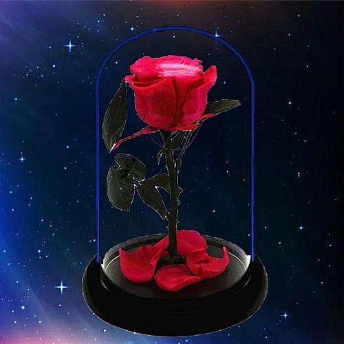 New Beauty and the Beast Enchanted Rose Fairy Tale Belle Glass Prop Decor Gifts 