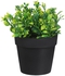 Get Round Plastic Vase, 8×7 Cm - Green Black with best offers | Raneen.com