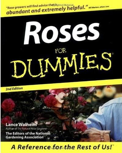 Roses for Dummies
