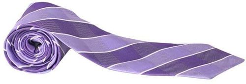 Arrow Men's Purple Checkered Tie