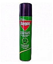 Baygon Insectide 500ml X 2