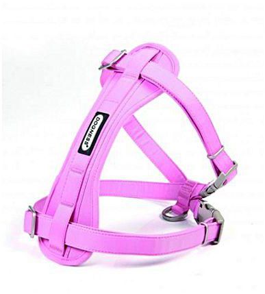 Ferribiella Teflon Harness - Pink