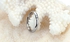 MASATY ARF-047E-2 Stainless Steel 9 USA Jewelry Ring For Women