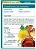 Traditional Medicinals Teas Organic Tea Dandelion Chai Probiotic, 16 Bags (Pack of 1)