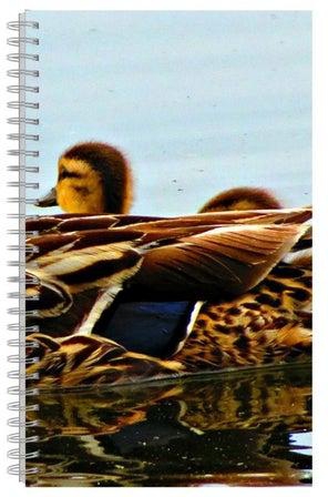 A5 Spiral Bound Printed Notebook Multicolour
