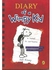 A Novel In Cartoons (Diary Of A Wimpy Kid)