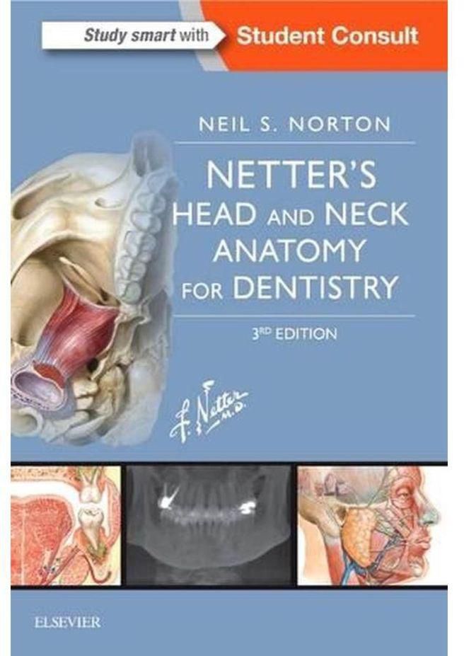 Netter s Head and Neck Anatomy for Dentistry Ed 3