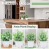 Der Rose 4 Packs Small Fake Plants Artificial Greenery Potted Plants for Bathroom Farmhouse Kitchen Decor