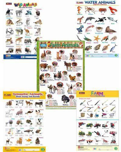 5-in-1 Charts Pack Of Farm Animals, Domestic Animals, Wild Animals, Water  Animals And Farm Tools price from jumia in Nigeria - Yaoota!