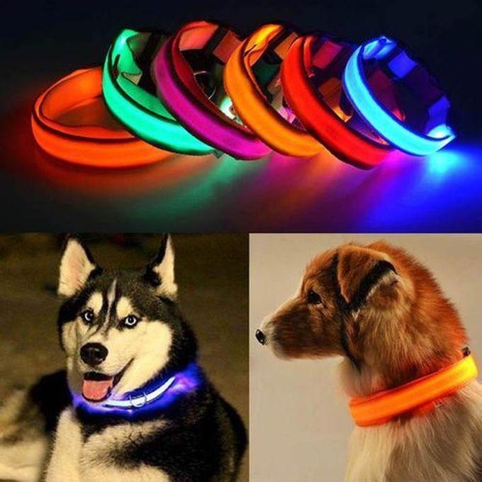 Pin Battery Super-Bright LED Dog Collars-Glow In The Dark Dog Collars