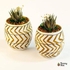 Handmade Pottery Pot With Cactus