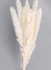 Fancy Natural Dried Flowers Original Pampas Grass -Tall Extra Fluffy- Faux Artificial Dried (3)
