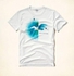 Hollister - Men Printed Vibe Graphic T-Shirt - White - M