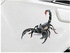 Front Rear Bumpers Decor Mural Art Scorpion Car Decal Car Styling Stickers Car Accessories