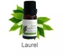 Orchard de Flore Laurel Leaf Essential Oil