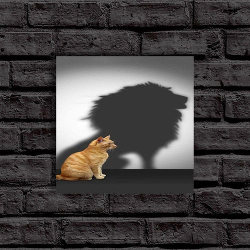 لوحة جدارية خشبية قطة بظل اسد أم دي اف مقاس 30x30 سنتيميتر