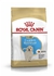Royal Canin Golden Retriever Puppy Dog Dry Food - 12 Kg