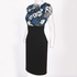 Generic Floral Print Cap Sleeve Dress - Blue/Black