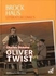Brockhaus Literaturcomics Oliver Twist: Weltliteratur im Comic-Format