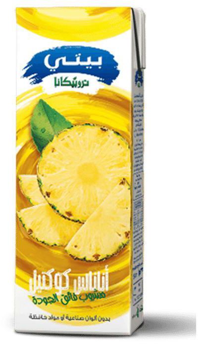 Beyti Pineapple Juice - 235ml