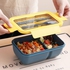 Divided Lunch Box With Airtight Lid With Spoon And Fork ,850ml Portable For Home, Work And School