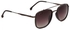 Polarized Sunglasses For Men 2038C5 للرجال