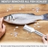 Stainless Steel Fish Scale Brush Graters For Kitchen