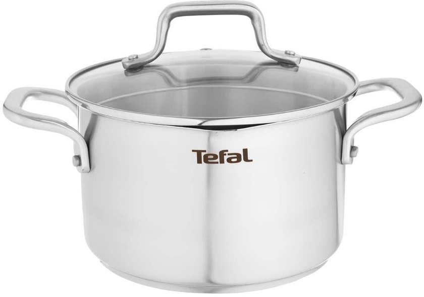 Get Tefal Stainless Steel Pot with Glass Lid, 20 cm - Silver with best offers | Raneen.com