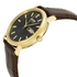 Citizen Eco Drive Black Dial Gold-tone Stainless Steel Brown Leather Mens Watch