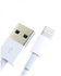 World Cables Lightning Charge & Sync Cable - 1 Meter - White