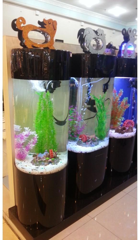 X-L Acrylic fish tank