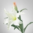 SMYCKA زهرة صناعية - نبات زئبقي/أبيض 85 سم