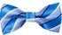 Blue And White Stripes Pattern polyester Bow Tie