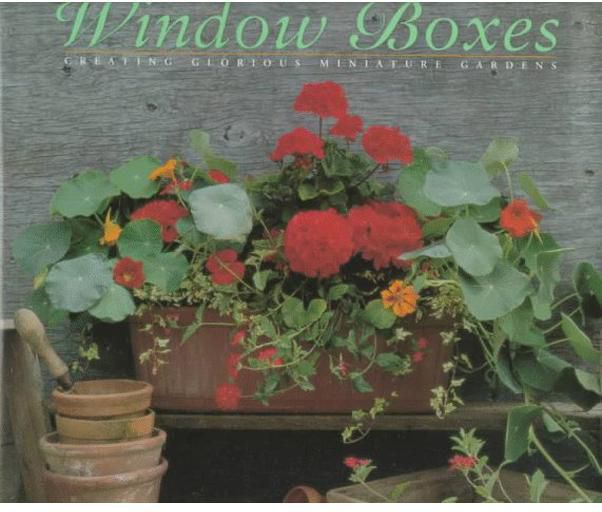 50 Spectacular Window Boxes (Step-by-Step)