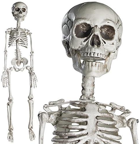 PREXTEX 30” Halloween Skeleton for Halloween Décor & Day of The Dead Décor - 2.5 ft Full Size Plastic Halloween Skeleton with Movable Joints for Best Halloween Decoration - Indoor & Outdoor