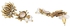 فويلا مجموعة مجوهرات نحاسية مطلية بالذهب بتصميم زهرة اللوتس من ابسارا، مقاس واحد، نحاس، بدون احجار كريمة