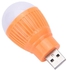 Portable USB Light Lamp Bulb