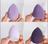 Makeup Sponge Powder Puff Dry And Wet Beauty Cosmetic Ball