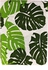 Linen Graphic Design Table Napkin ( Big Green Leaf)